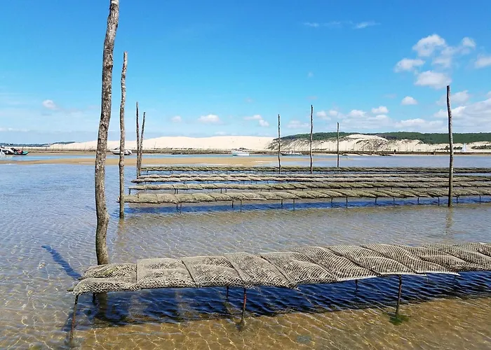 Cosy à L'aiguillon Avec Balcon - Fr-1-474-189 Apartamento Arcachon